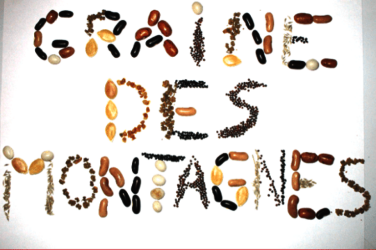 index.php?r=file%2Ffile%2Fdownload&guid=8d486419-0aba-4436-8eab-f0e3cd513164&hash_sha1=07f26df8