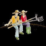 Ressources partagées